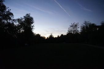 Enlarge photo 13