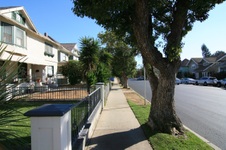 Enlarge photo 52