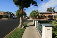 Enlarge photo 53