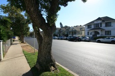 Enlarge photo 56