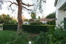 Enlarge photo 14