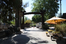 Enlarge photo 19