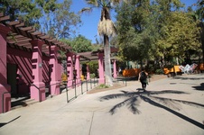 Enlarge photo 22