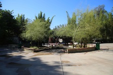 Enlarge photo 8