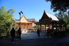Enlarge photo 20
