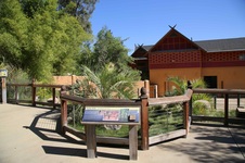 Enlarge photo 22