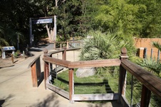 Enlarge photo 23