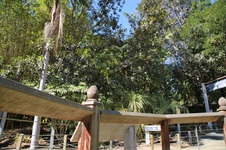 Enlarge photo 24