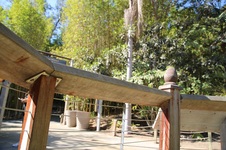 Enlarge photo 25