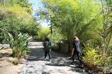 Enlarge photo 28