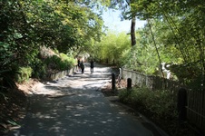 Enlarge photo 30