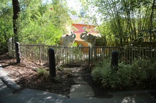 Enlarge photo 31