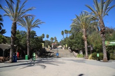 Entry Plaza