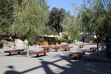 Enlarge photo 12