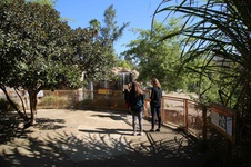 Enlarge photo 6