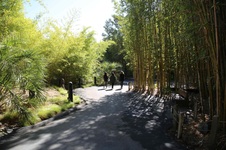 Enlarge photo 16
