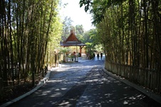 Enlarge photo 18