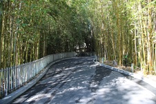 Enlarge photo 19