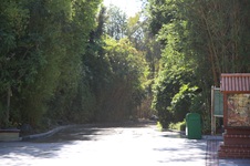 Enlarge photo 20