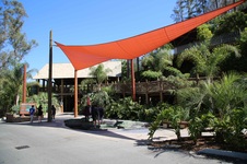 Rainforest