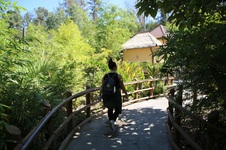 Enlarge photo 3