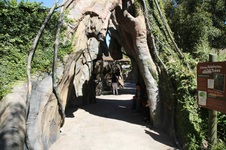 Enlarge photo 5