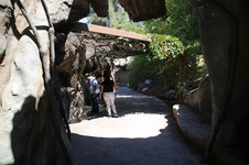 Enlarge photo 6