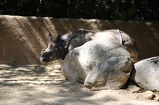 Enlarge photo 3