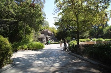 Enlarge photo 5