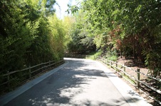 Enlarge photo 4