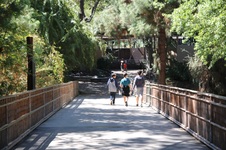 Enlarge photo 9