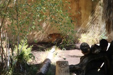 Enlarge photo 10