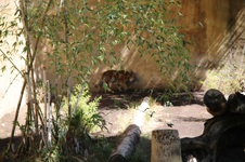 Enlarge photo 12
