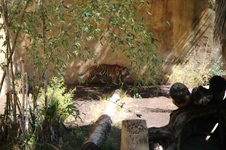 Enlarge photo 13
