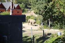 Enlarge photo 5