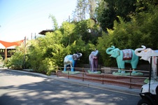 Enlarge photo 6