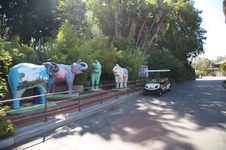 Enlarge photo 9