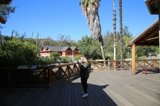 Enlarge photo 11