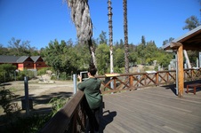 Enlarge photo 13