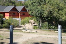 Enlarge photo 14