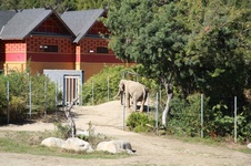 Enlarge photo 21