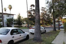 Enlarge photo 22