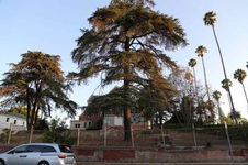 Enlarge photo 26