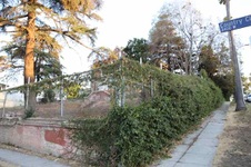 Enlarge photo 37