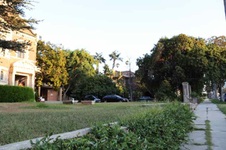 Enlarge photo 38