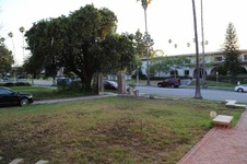 Enlarge photo 42