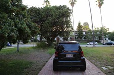 Enlarge photo 51