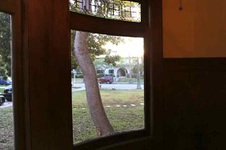 Enlarge photo 71