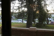 Enlarge photo 86