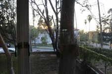Enlarge photo 94